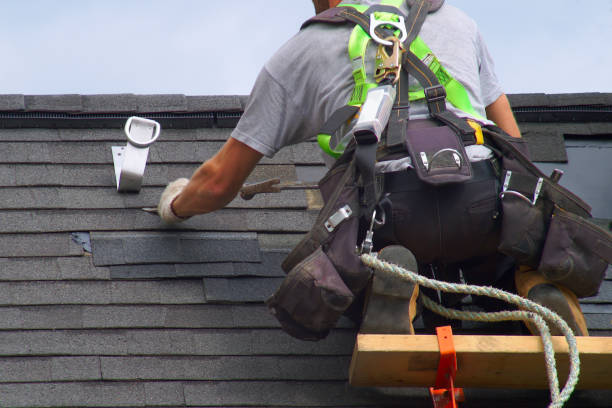 Best Roof Gutter Cleaning  in Shasta, CA