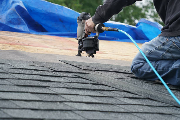 Roof Gutter Cleaning in Shasta, CA