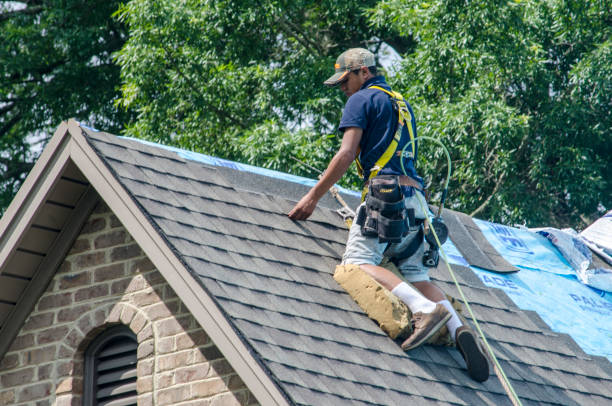 Best Roof Gutter Cleaning  in Shasta, CA